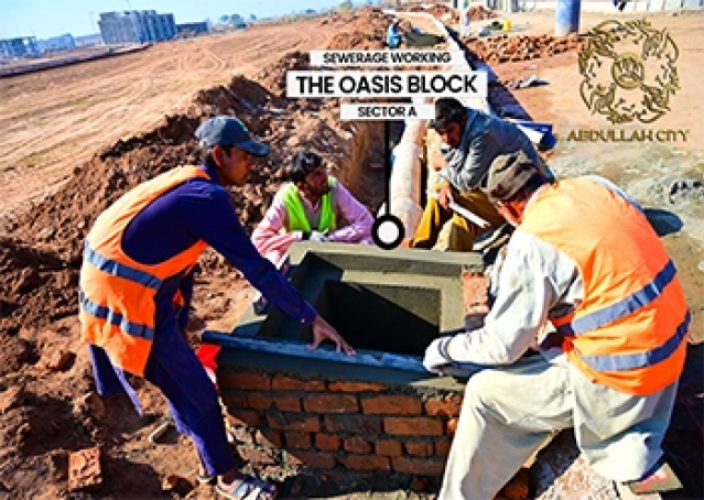 80200Artboard 14 (2).webp